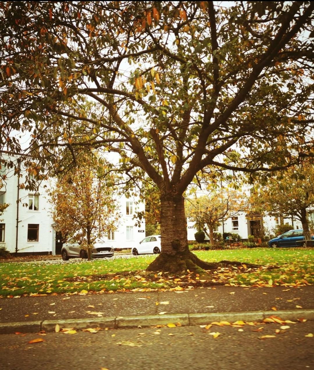 Entire 1 Bed Spacious Apartment, Private Balcony & Study Room Near City Whitehouse  Extérieur photo
